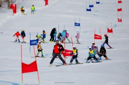 Новое увлечение детей — горные лыжи