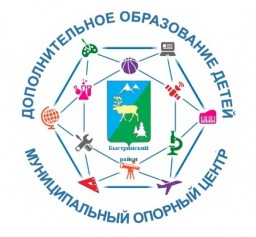 Муниципальный опорный центр дополнительного образования МАОУ ДО "БДДТ"